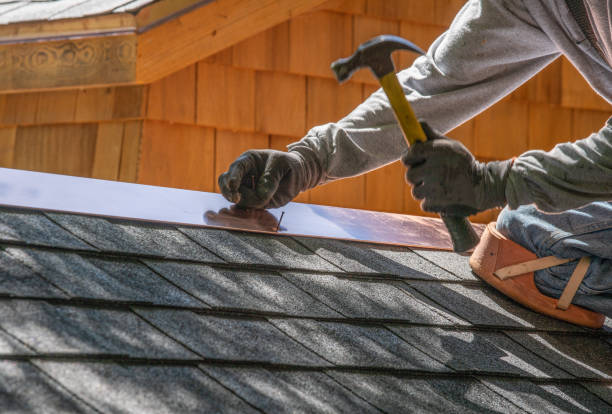 Best Roof Coating and Sealing  in Marlette, MI