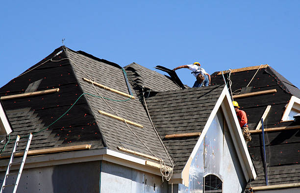Best Asphalt Shingle Roofing  in Marlette, MI